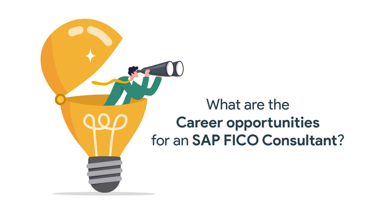 sap fico consultant job