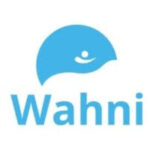 Wahni IT Solutions